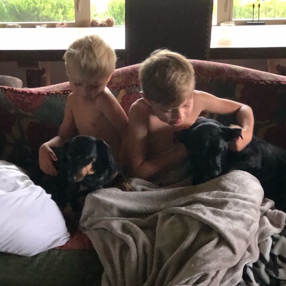 DOG FRIENDLY ENVIRONMENT😂 - Picture 15 of 16